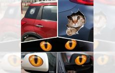 3D-Sticker «Глаза Пантеры»,«Кот»,«Мяч в окне»— оптическая иллюзия. Hit! universal auto-moto-home-office