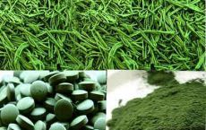 Spirulina Green World! Pret de producator!