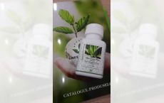 Capsule Aloe Vera Plus