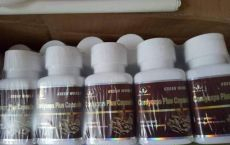 Capsule Cordyceps Plus