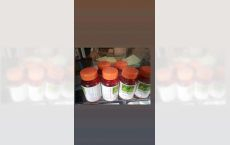 Capsule Ginco Biloba