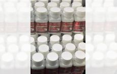 Capsule Gan Bao