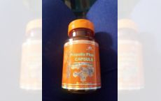 Capsule Propolis Plus
