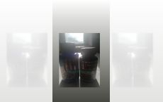 Capsule Cordiceps Plus+Enzime de afine