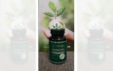 Spirulina Comprimante