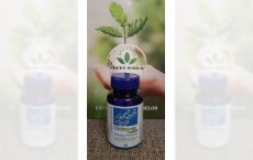 Capsule Chitosan