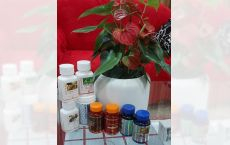 Vitamine naturale