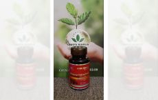 Capsule Ganoderma
