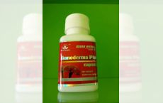 Capsule Reishi Plus