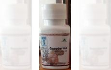 Capsule Ganoderma