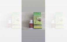 Capsule Reishi Plus+Ceai Cin Fei