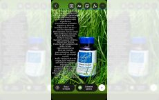 Capsule Chitosan