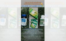 Set de imbunatatirea digestiei