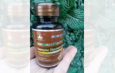 Capsule Cordiceps Plus