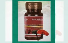 Capsule Reishi Plus