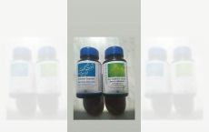 Capsule Zinc pentru adulti+Capsule Chitosan