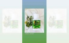 Capsule Ginco Biloba