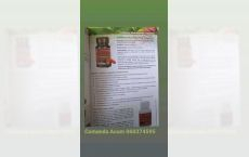 Capsule Reishi Plus