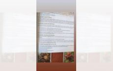 Capsule cu miceliu ciuperci Shitake