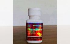 Capsule Gan Bao