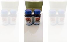 Capsule Chitosan