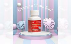Capsule Gan Bao