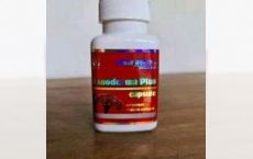 Capsule Ganoderma-Reishi Plus
