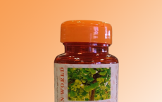 Capsule Ginco Biloba