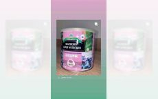 Praf nutritiv de afine