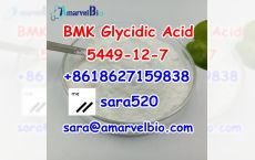 +8618627159838 CAS 5449-12-7 BMK Glycidic Acid Manufacturer Supply in Netherlands/UK