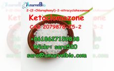 +8618627159838 2-(2-Chlorophenyl)-2-nitrocyclohexanone CAS 2079878-75-2 with High Quality and Fast Delivery