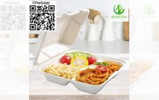 8x8 inch clamshell box disposable sugarcane lunch box food bagasse container