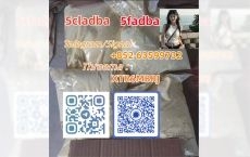 5cl raw materials 5cl-adb-a 5cladb 5cladba in stock