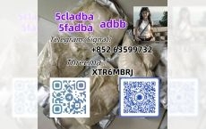 5cladba raw material 5CL-ADB-A precursor raw 5cl