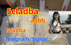 Strongest 5cladba Raw Material 5CL-ADB Precursor