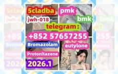 99 %Purity Methylamine Hydrochloride Cas 593-51-1