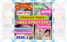 99 %Purity Methylamine Hydrochloride Cas 593-51-1