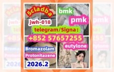 99 %Purity Methylamine Hydrochloride Cas 593-51-1