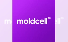 Красивый номер Moldcell